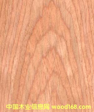 �c���鿴��ľ�Ƽ�ľƤ��Ԕ���Y��