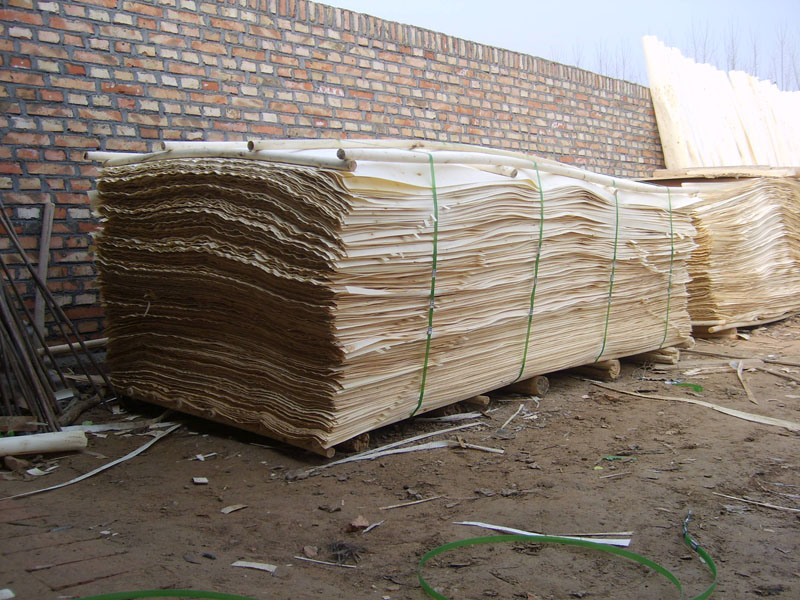 �c���鿴��ľ����Ƥ�Ŵ�DƬ