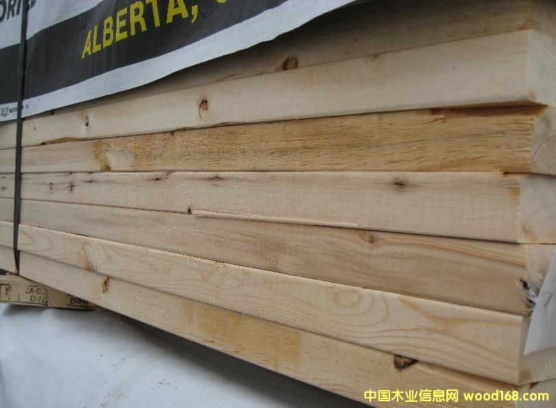 SPF ������Ԕ��(x��)��B