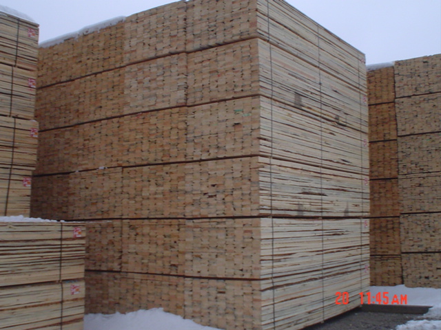 SPF Economy��Ԕ��(x��)��B