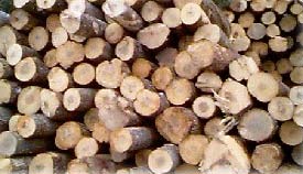 ܛ����Ԕ��(x��)��B