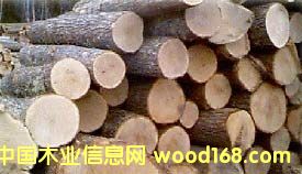 �t���Ԕ��(x��)��B