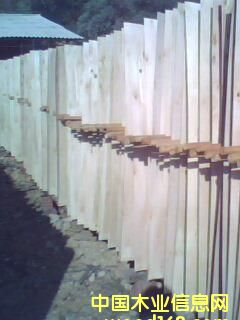 ��ľԭ���Ԕ����B