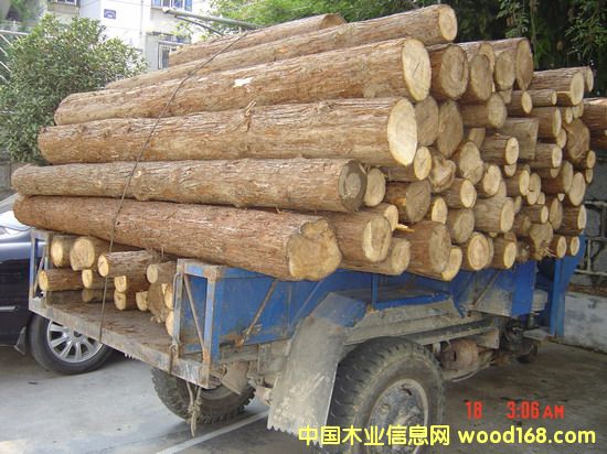 �c���鿴��ϲķŴ�DƬ