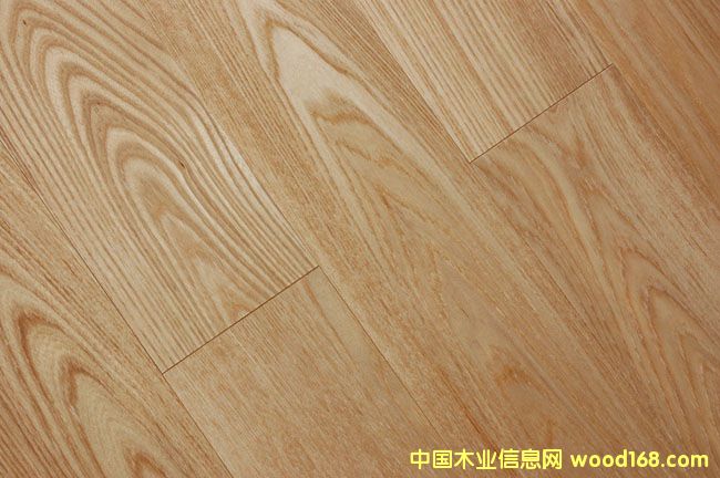 �c���鿴��ľ��Ŵ�DƬ