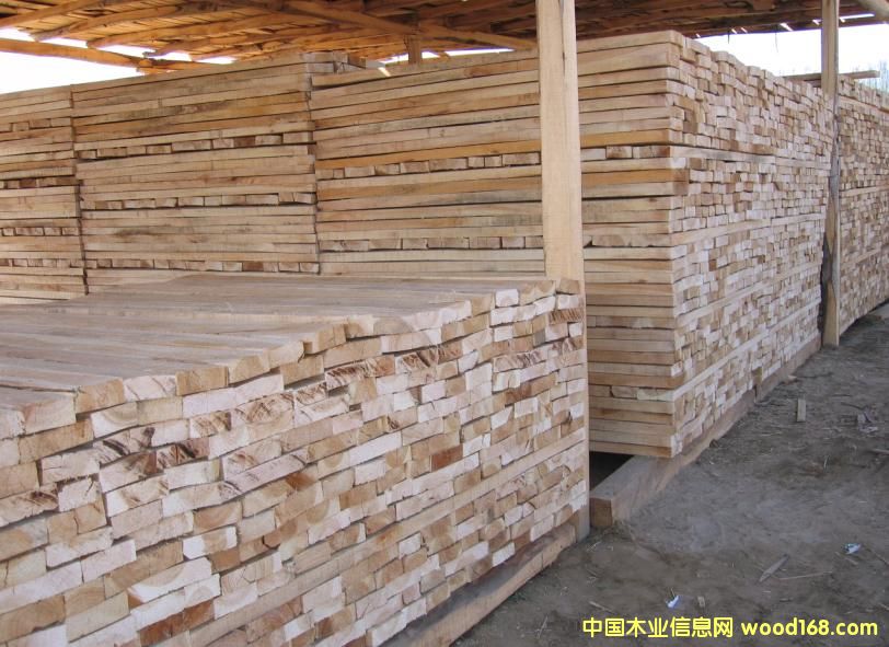 �c���鿴��ľ��Ŵ�DƬ