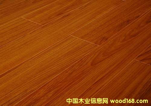 ��ľ��Ԕ����B