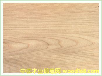 ľƤ��Ԕ����B