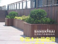 �̈́�ľ�ذ�r���Ԕ����B