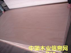 red canarium plywood��Ԕ����B