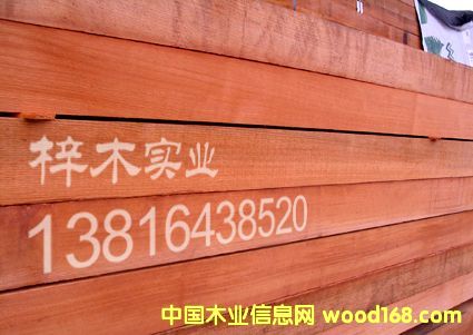 �tѩ��(�o���̣���Ԕ����B