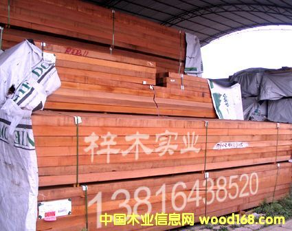 �tѩ�� FF��Ԕ����B