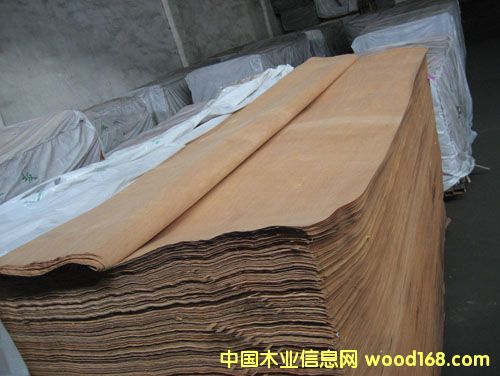 �t�ϙ���Ƥ/�ΰ��Ԕ����B