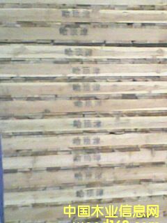 1.5�бP��Ԕ����B