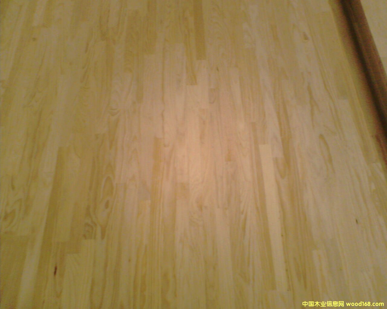 ��ľָ�Ӱ��Ԕ����B