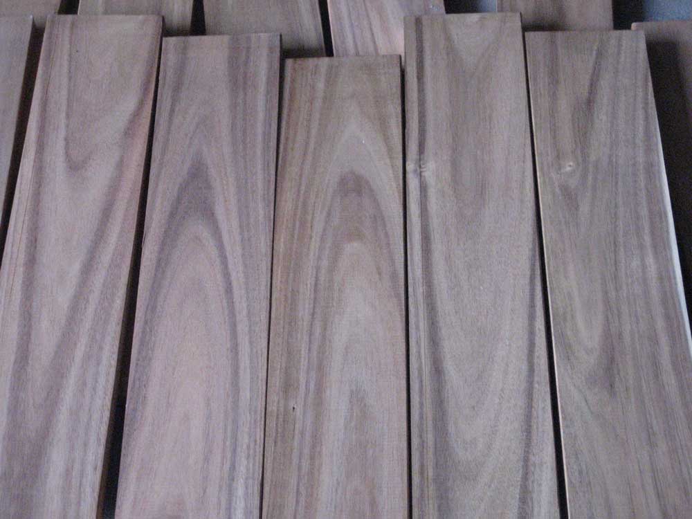 Acacia��Ԕ��(x��)��B