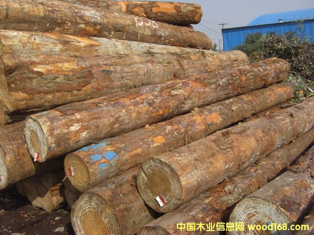 ݗ���ɵ�Ԕ����B