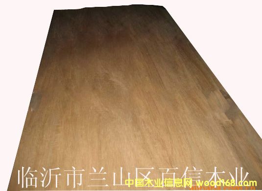 ����ľ��Ԕ����B