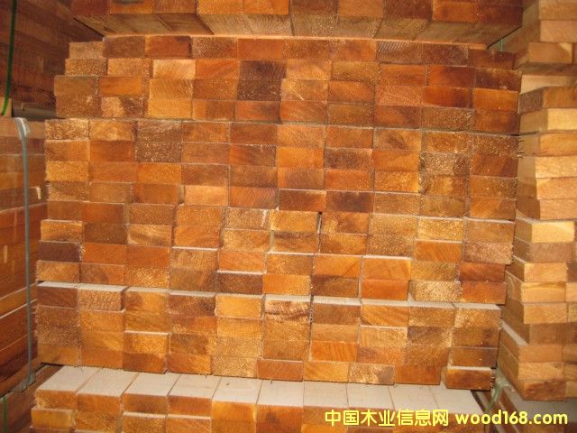 �tѩ�ɵ�Ԕ��(x��)��B