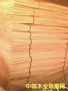 ��ľ��Ƥ��Ԕ����B