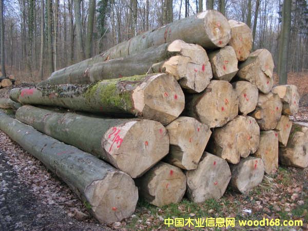 ԭľ��Ԕ����B