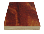 ľģ���Ԕ����B