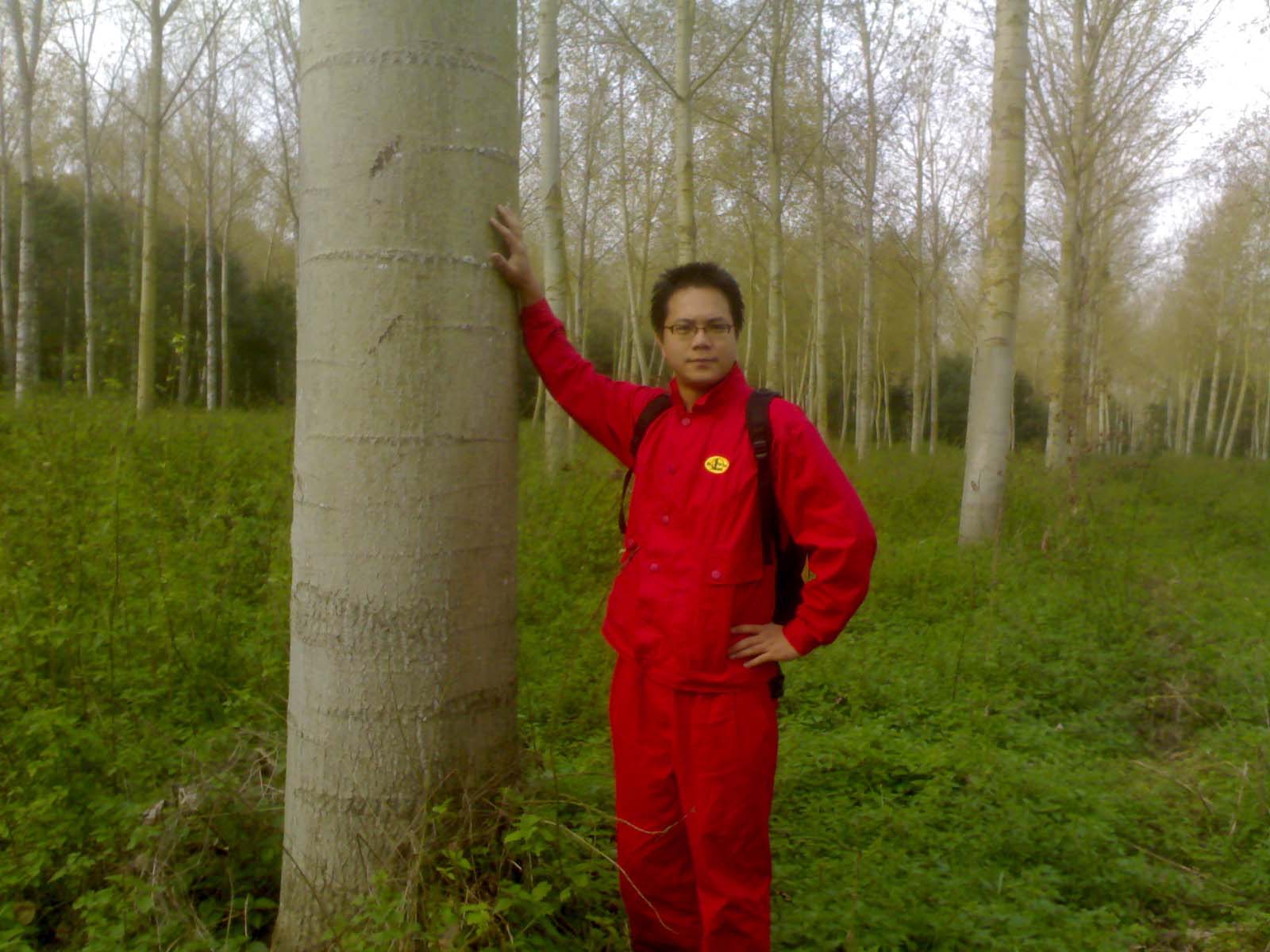 ��������ԭľ��Ԕ����B