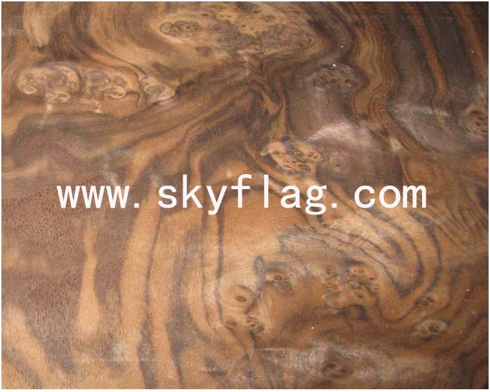 �ں��Ҙ����Ԕ����B