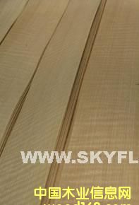 ���������tӰľƤ����Ԕ����B