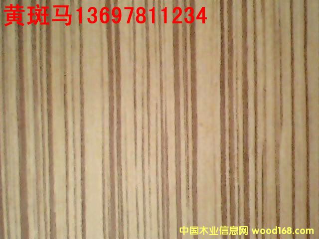 �S���R��Ԕ����B