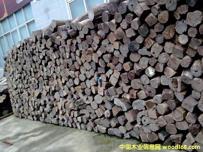 �ϓ��t��֦���ϼtľ����Ԕ��(x��)��B