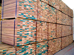 �c���鿴�ذ��ϷŴ�DƬ