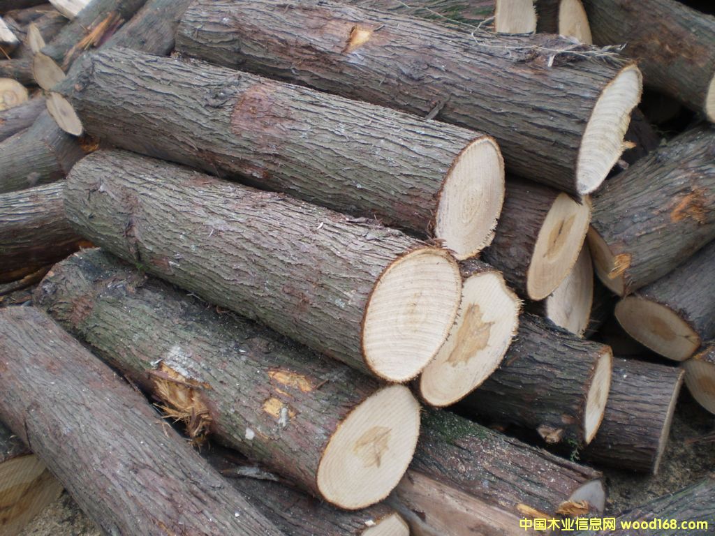 ���I��ľ��Ԕ����B