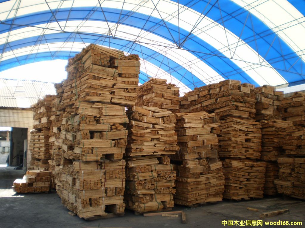 ���I��ľ��Ԕ����B