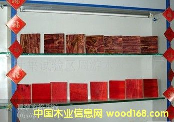 �|(zh��)������ţ���ƌ��I(y��)ˮ�ཨ��ģ��