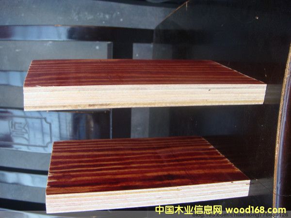 ����ţ����ˮ�����ý���ģ��3