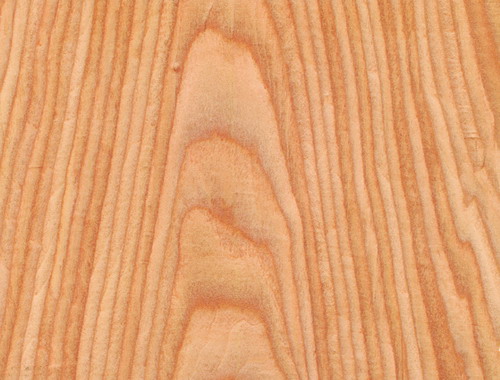 �c���鿴�Ƽ�ľƤ�Ŵ�DƬ