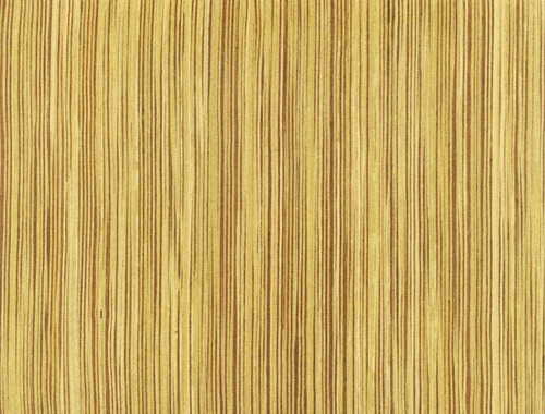 �c���鿴�Ƽ�ľƤ�Ŵ�DƬ