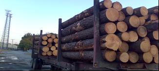 �����Ϸ���ԭľ��Ԕ����B