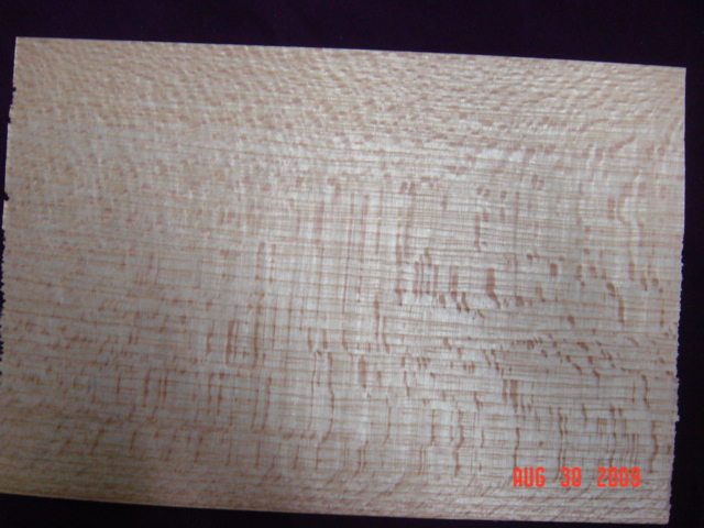 �t��˹��Ԕ����B