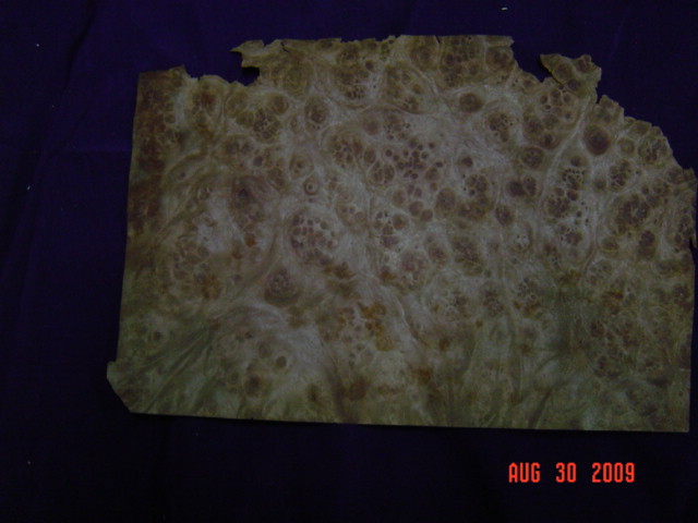 �t������Ԕ����B