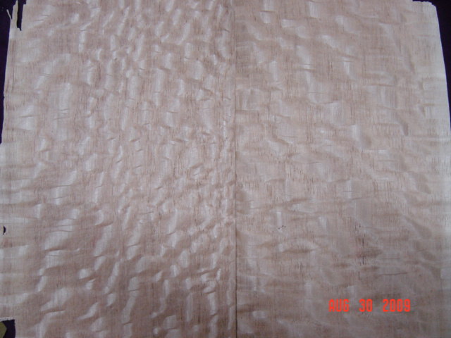 ����ľƤ��Ԕ����B