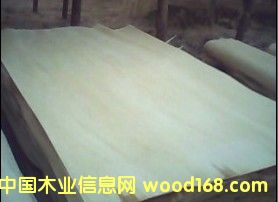 ��ľ��Ƥ��Ԕ����B