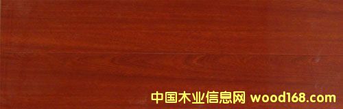 �c���鿴�ͺϵذ�Ŵ�DƬ