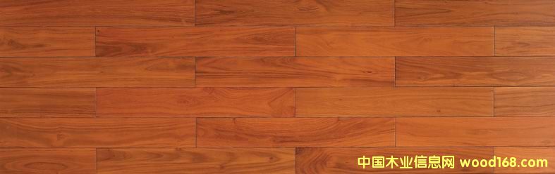 �����ֵ�Ԕ��(x��)��B