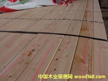 ���� ��SPF)��Ԕ��(x��)��B