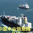 �c���鿴�M��ľ�ĺ��\�Ŵ�DƬ