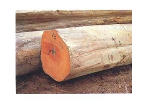 �c���鿴���ѷŴ�DƬ