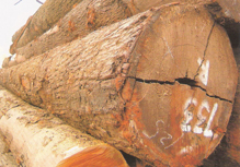 �c���鿴�F���ӷŴ�DƬ