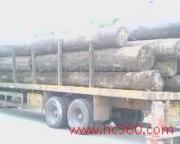 �c���鿴������ľ�Ŵ�DƬ